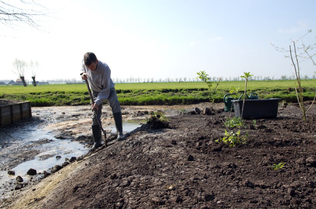 Kees planten